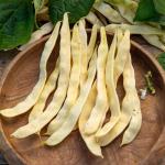 Légumes Secs - Haricot Grimpant Beurre Merveille de Venise - face recto